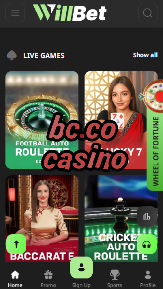 BC.co Casino - Premium Blockchain Casino-www.bdqngd.com
